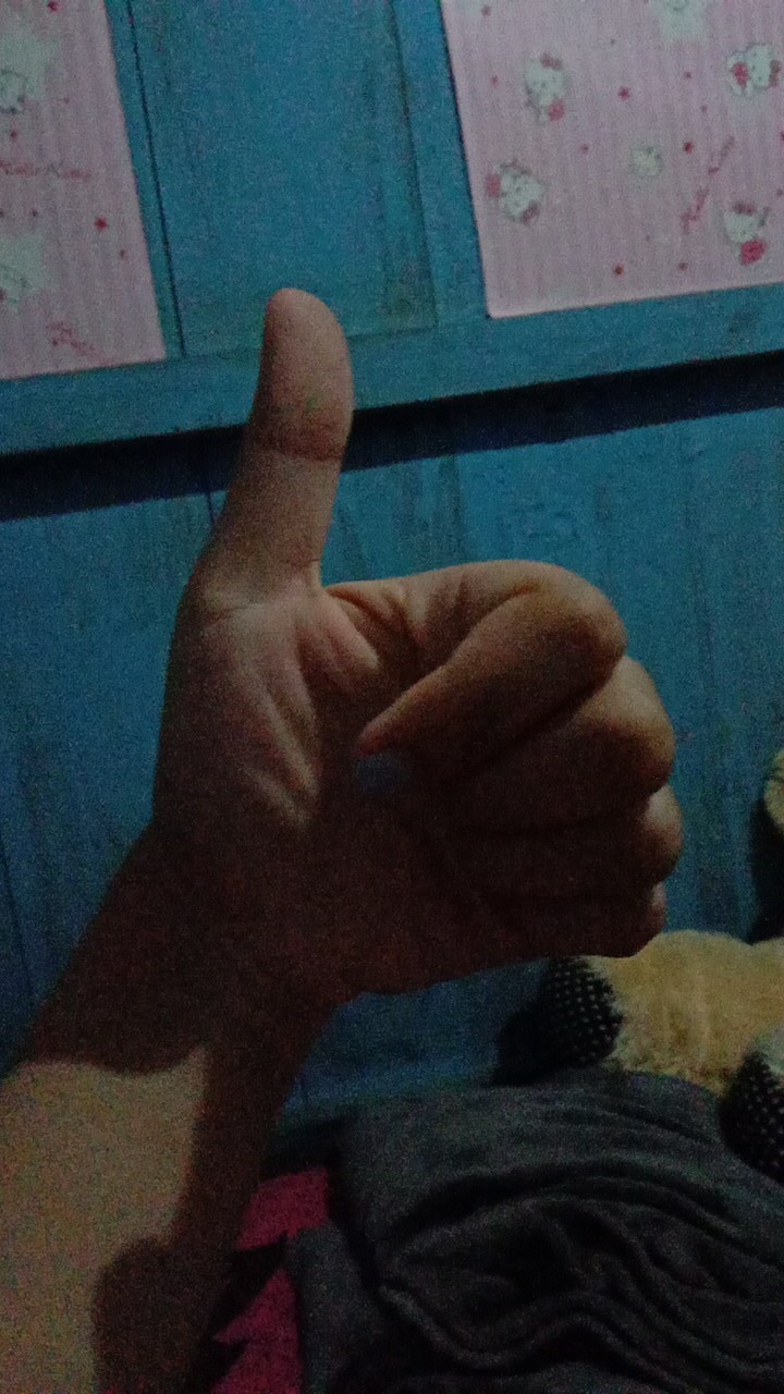 Gorden Jendela Dan Pintu Smokring Diandra