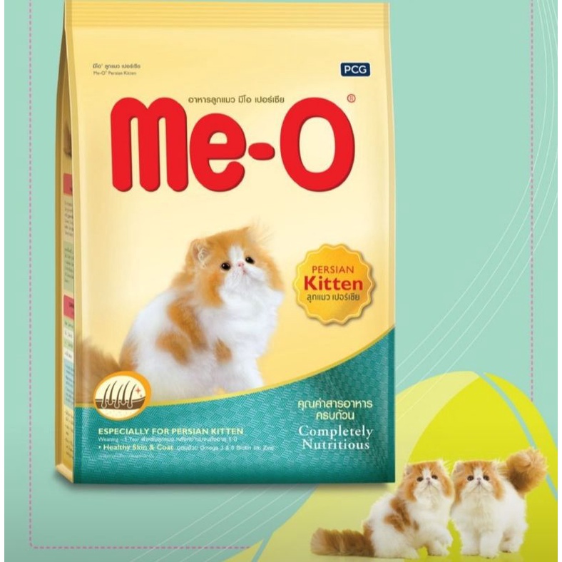 Meo kitten Persian 1,1kg