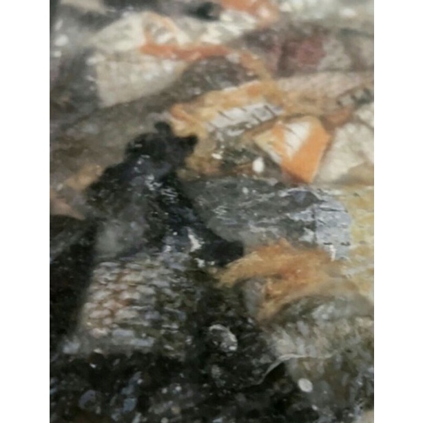 SALMON SKIN Kulit Ikan Salmon 500 g