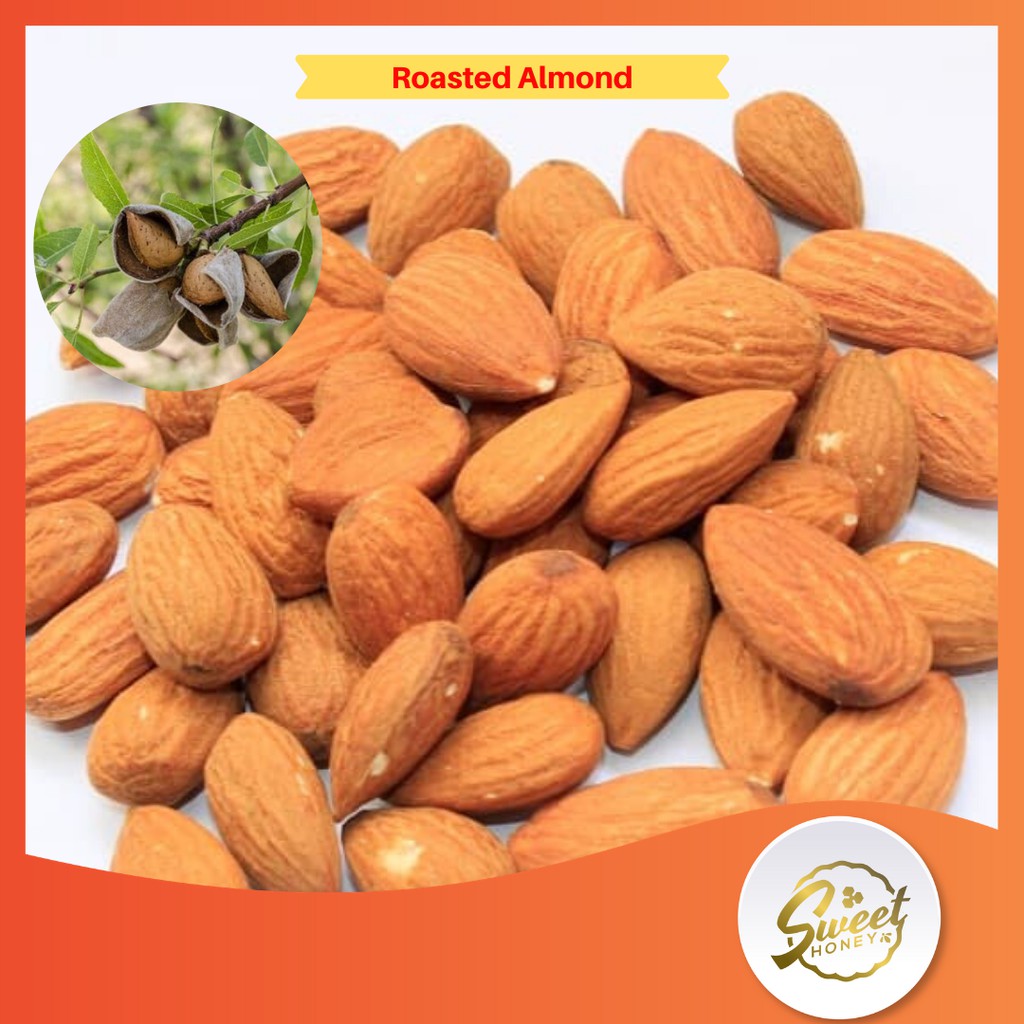

PREMIUM Kacang Almond Panggang Utuh Asi Booster Alami