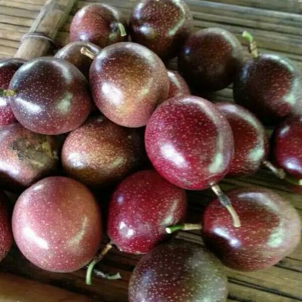

[PROMO QSK83] Markisa Merah 500 gram Best Product