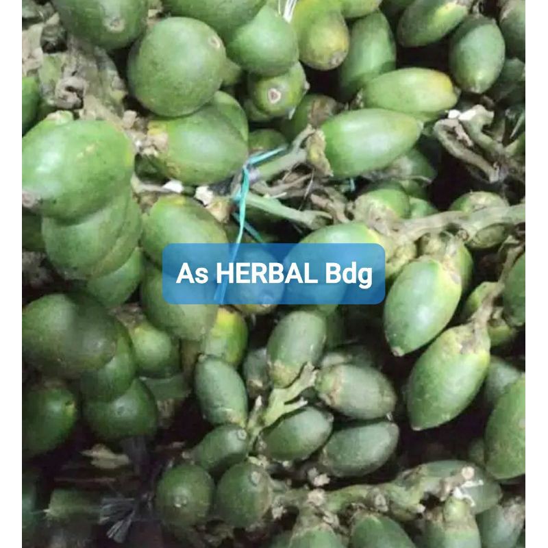 

Paket Hemat 500 gram Buah Pinang Muda Segar-az