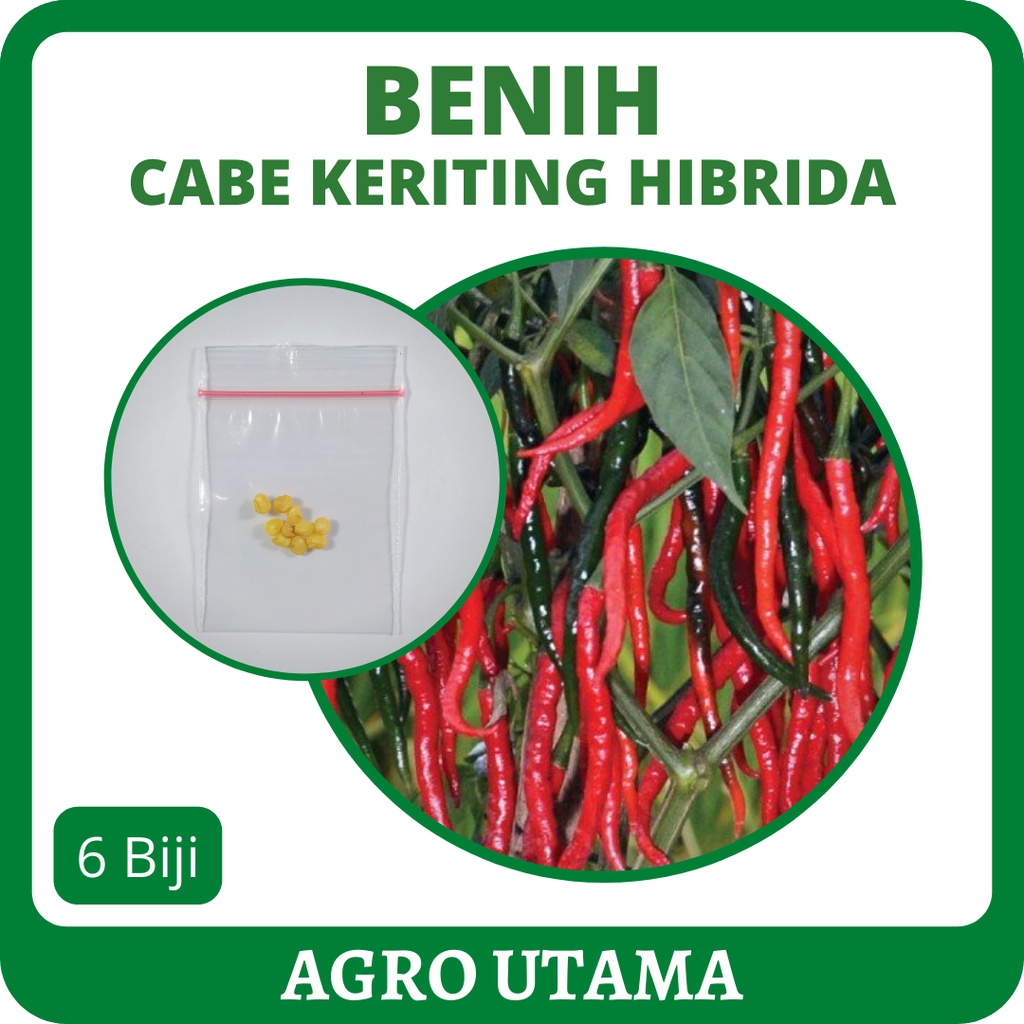 6 Benih Cabe Keriting Hibrida