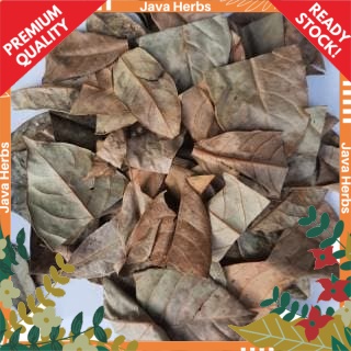 

DAUN PALA KERING - 100 GRAM - HIGH QUALITY - TERJAMIN