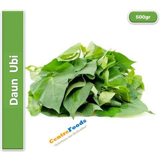 

Sayur Daun Ubi Jalar - Daun Ubi Fresh | 500gr [ Harga Per 0,5 Kg ]