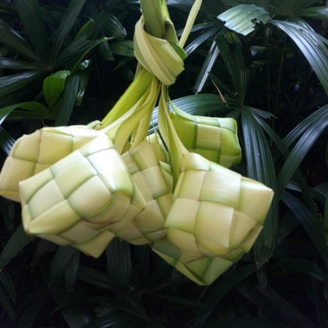 Ketupat/kulit ketupat/janur