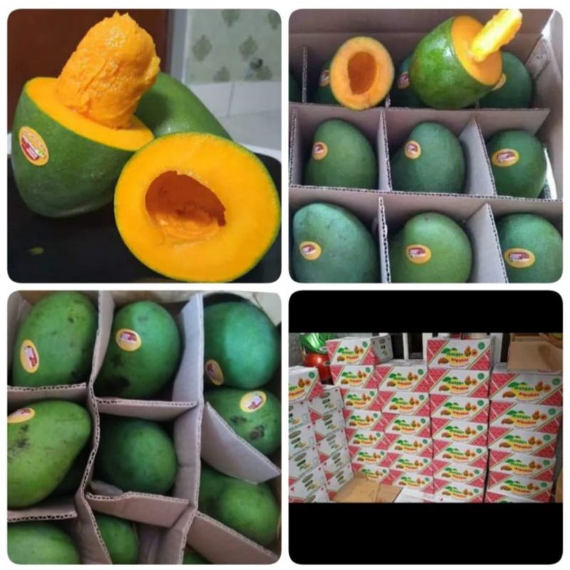 Mangga Alpukat 1 dus isi 5 Kilo