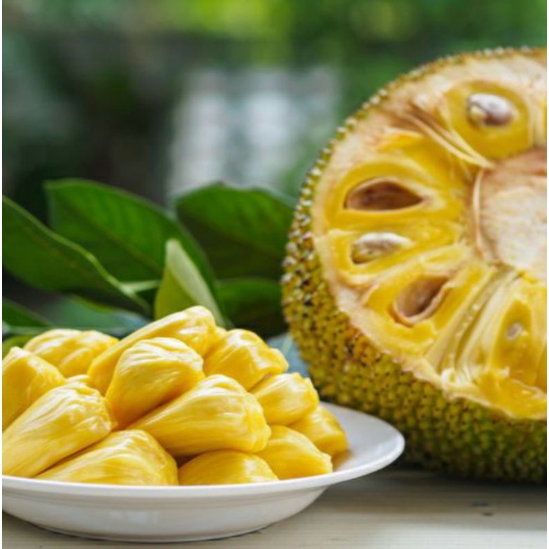 

Buah Buahan Nangka Manis / Belanja Buah Murah Semarang