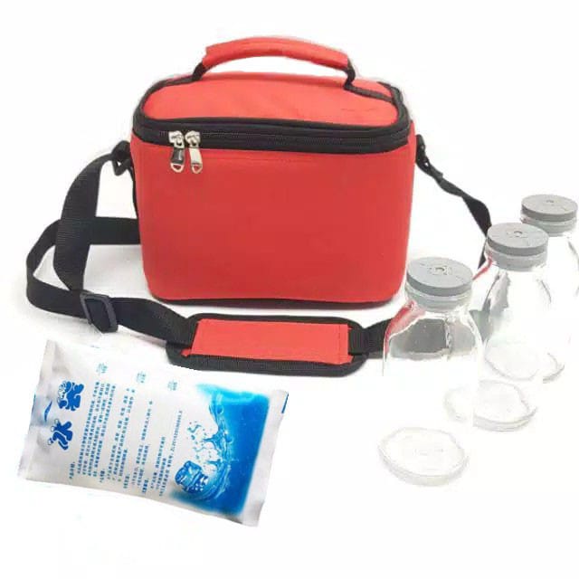 PAKET COOLER BAG + 3 BOTOL ASI +  DRY GEL  / t31 / TAS PENYIMPANAN ASI ASIP TERMURAH