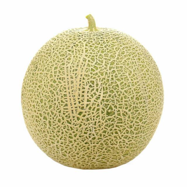 

Melon