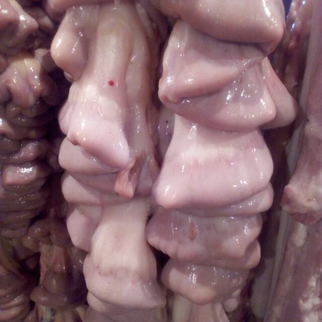 

Usus sapi segar 500gram.