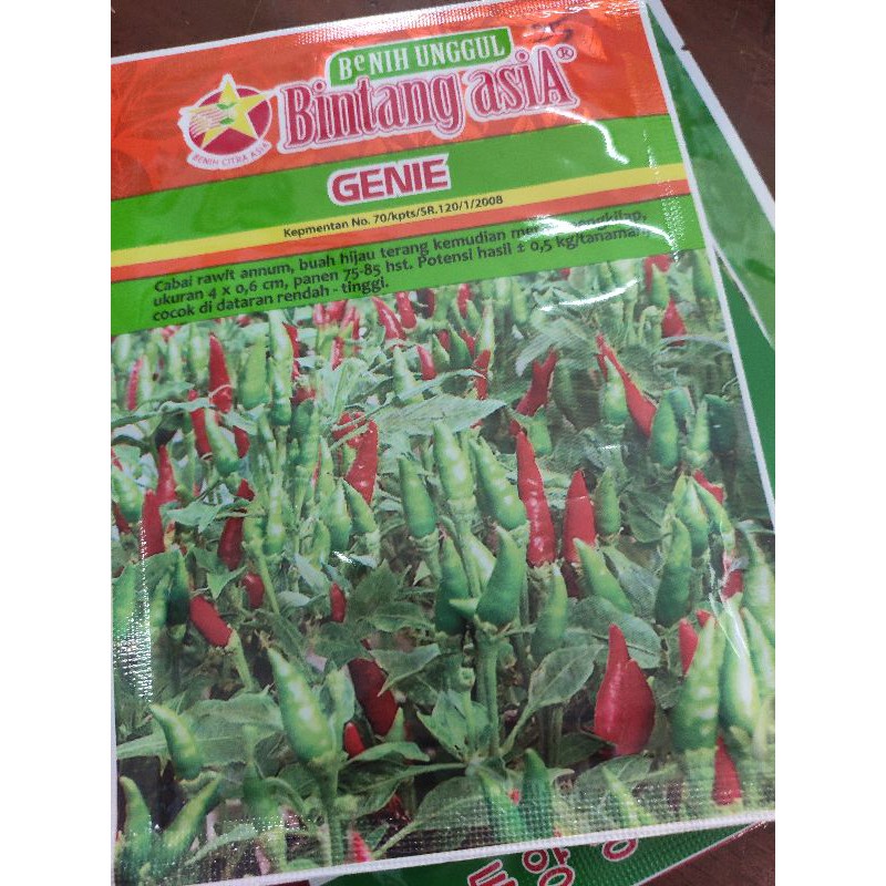 benih cabe genie bintang asia