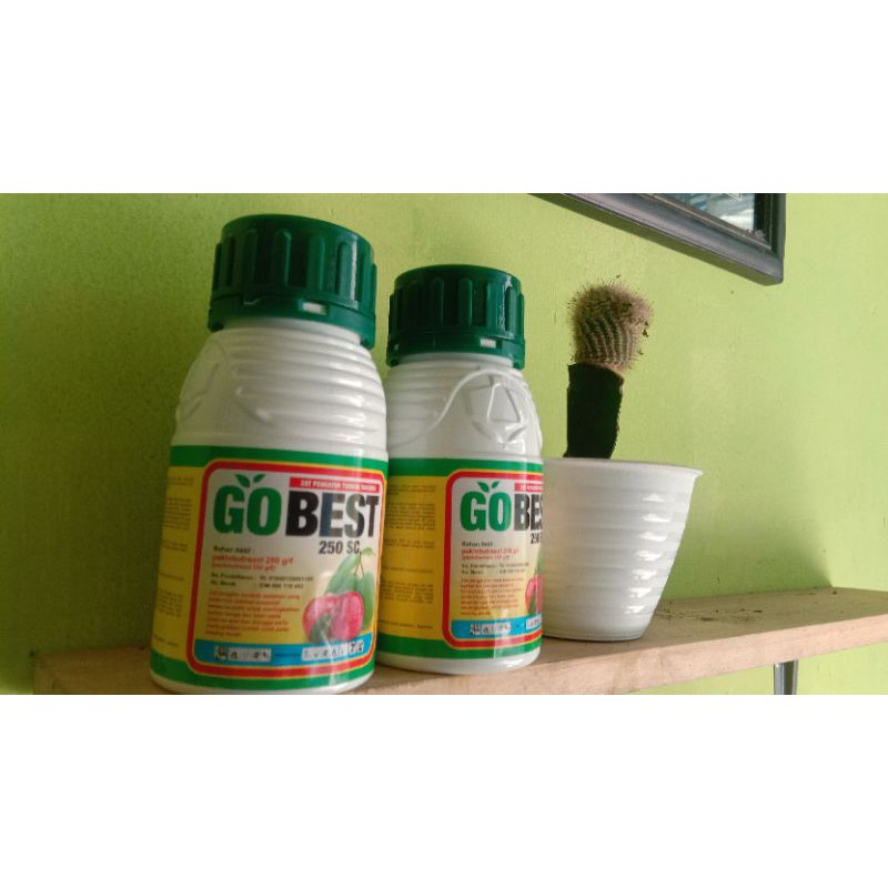 GoBest 250 ml(perangsang buah,obat untuk buah-buahan,perangsang buah)
