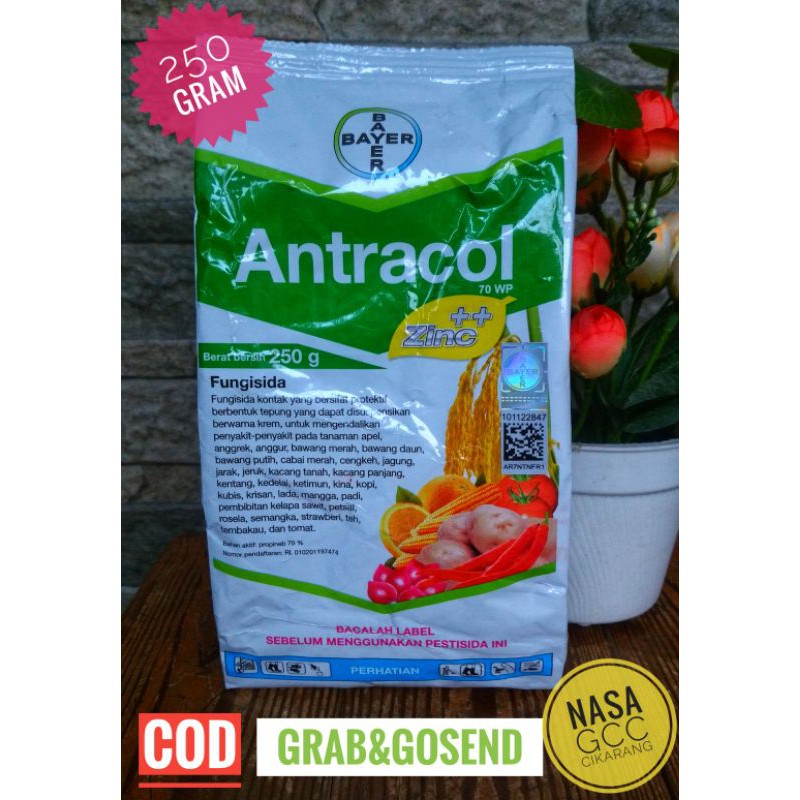 ANTRACOL 70WP FUNGISIDA 250 GR