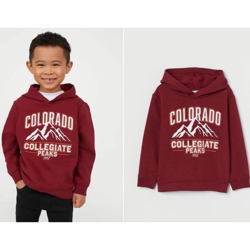 HnM Boys Sweater Hoddie Colorado