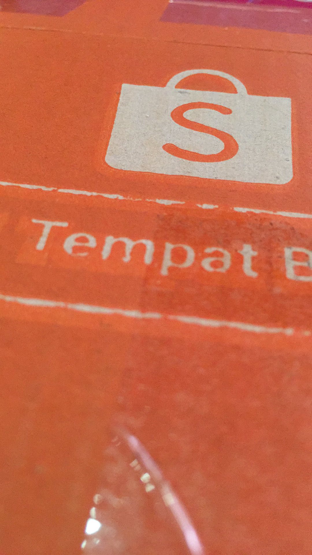 Petite Fiesta & Small Summer (3 Pcs) Bekal Tupwr