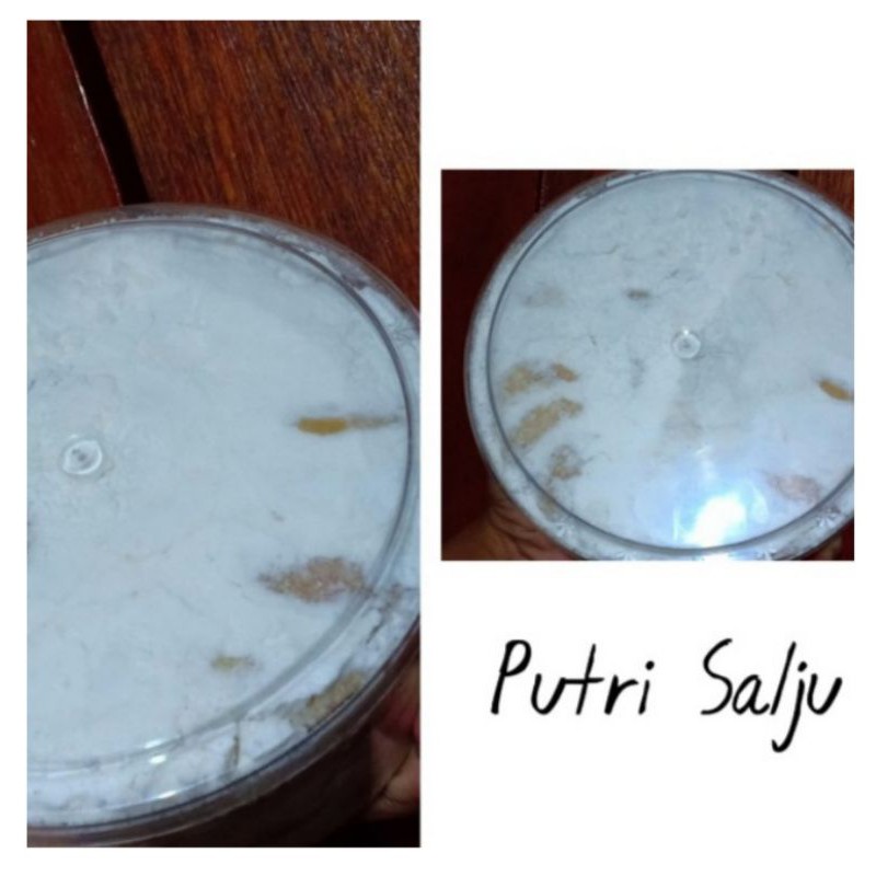 

Putri Salju