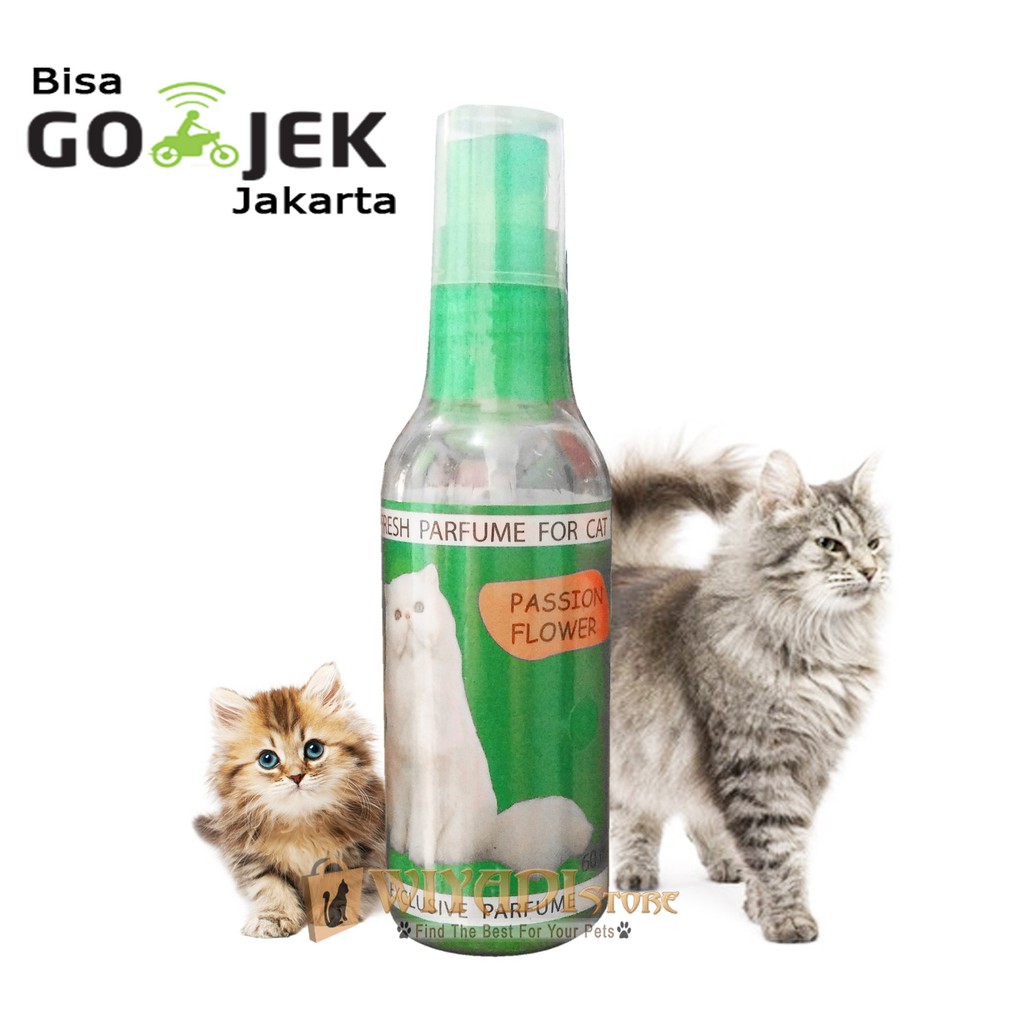 Paris Parfum Spray Minyak Wangi Parfume Kucing kitten