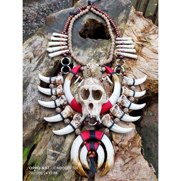 kalung etnik kalimantan kalung etnik dayak kalung taring babi kalung