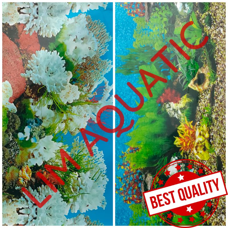 Background Gambar Aquarium 30 Cm / Walpaper Aquarium