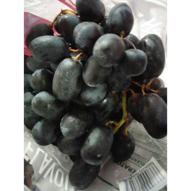 

Anggur Sultan Black Autumn 500gram