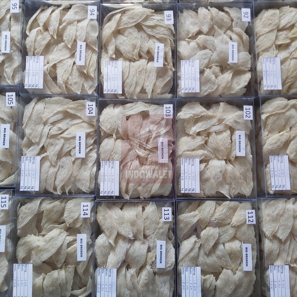 

Sarang Walet Patahan Murah 100 Gram (Yan Tiao)