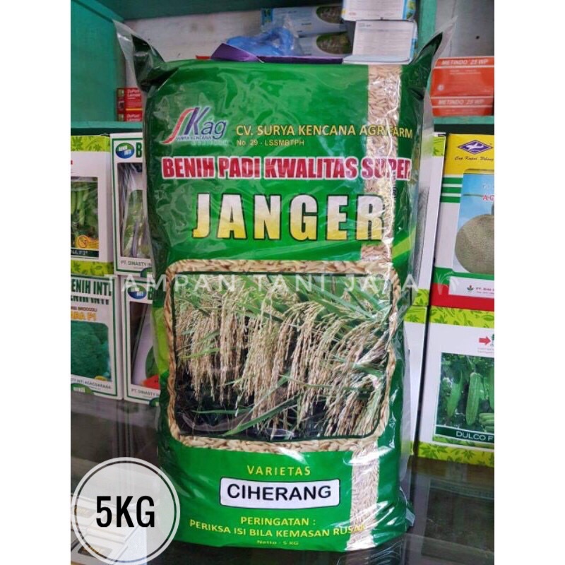 Benih Padi Ciherang Janger | 5 kg