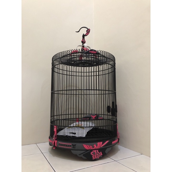 SANGKAR KANDANG MURAI RADJA 3D CARBON NO 2
