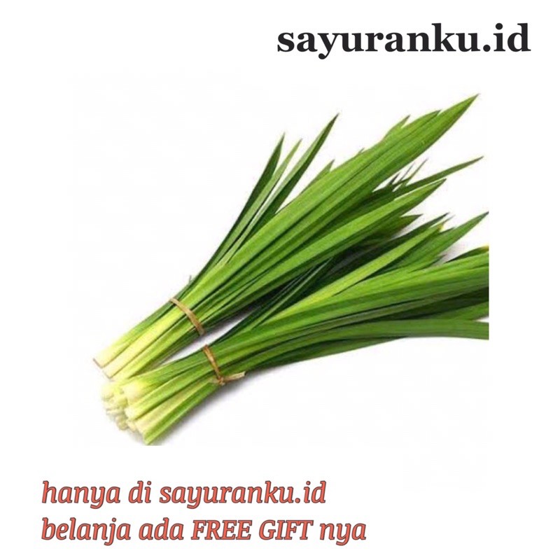 

daun pandan per ikat sayur segar sayuran fresh pasar murah pasar jakarta