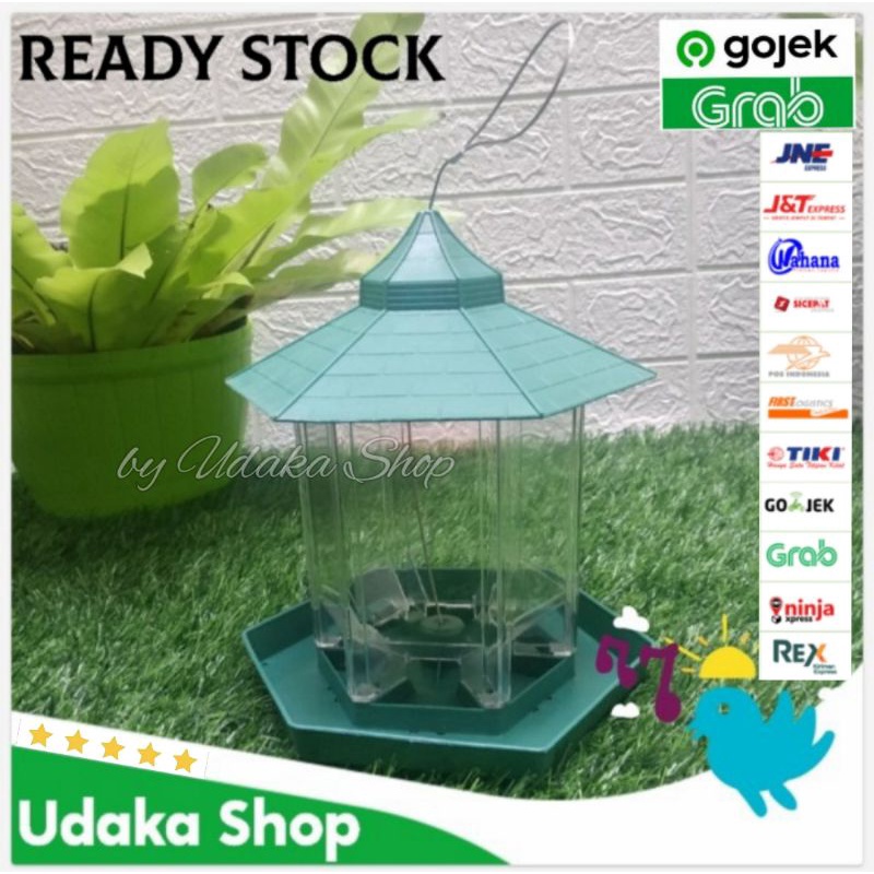 kasih makan burung liar