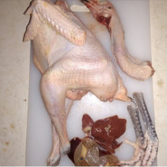 Ayam Kampung Muda fresh