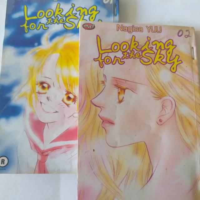 Komik Looking for the sky