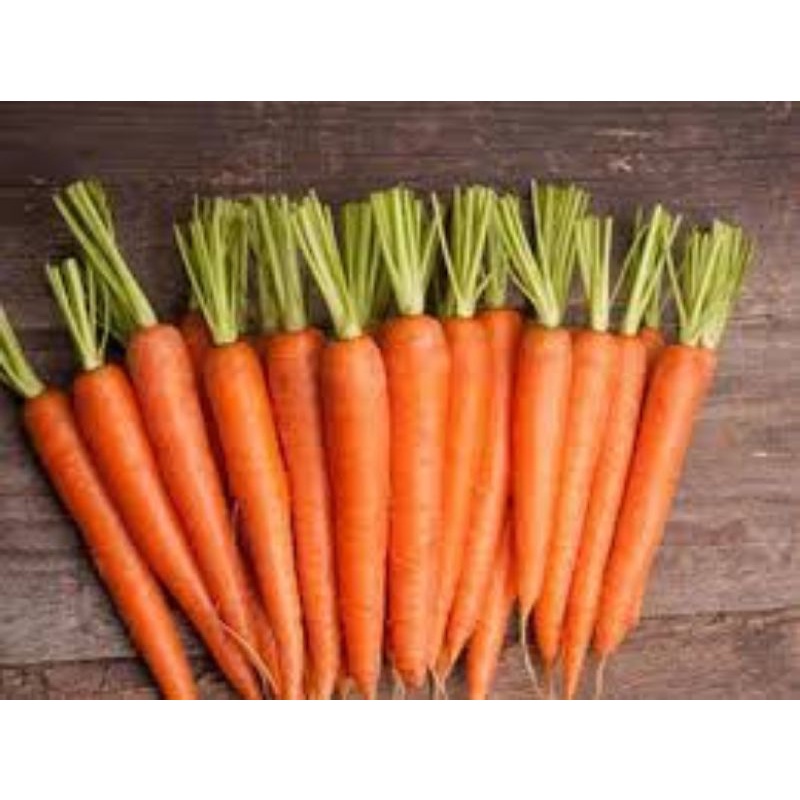 

wortel fres 1 kg sayuran segar