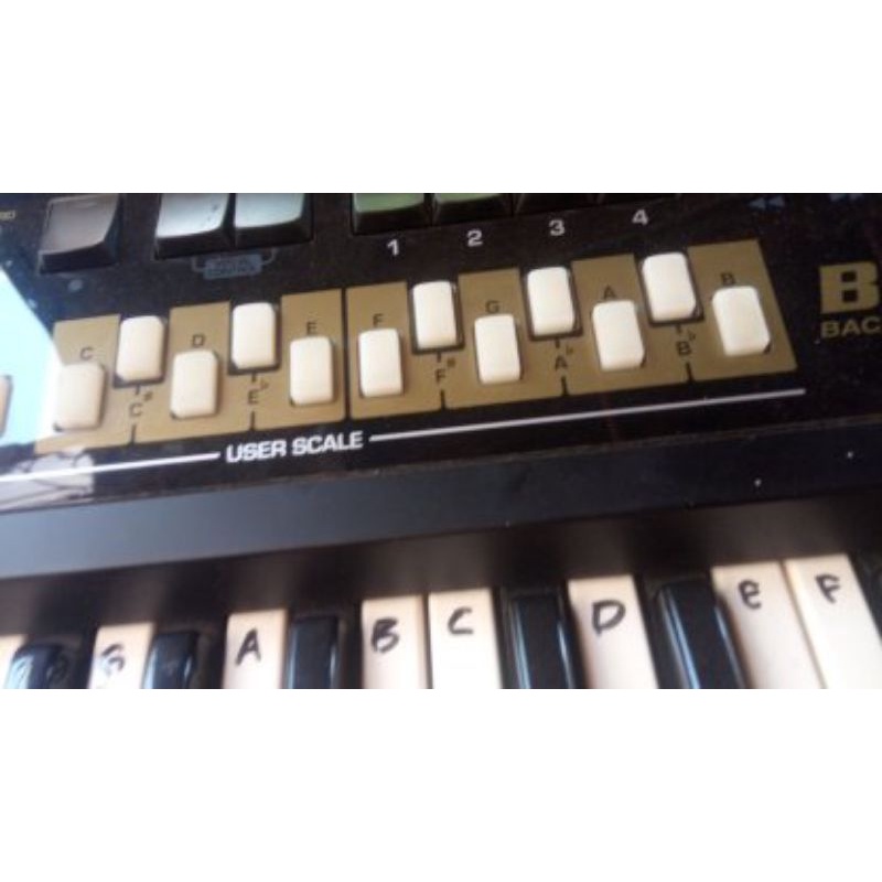 Roland bk5or