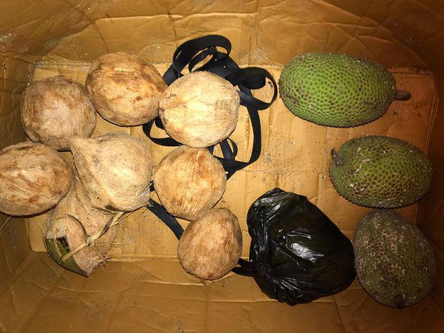 Cardigan Batik Wanita Rianty Vega - Black