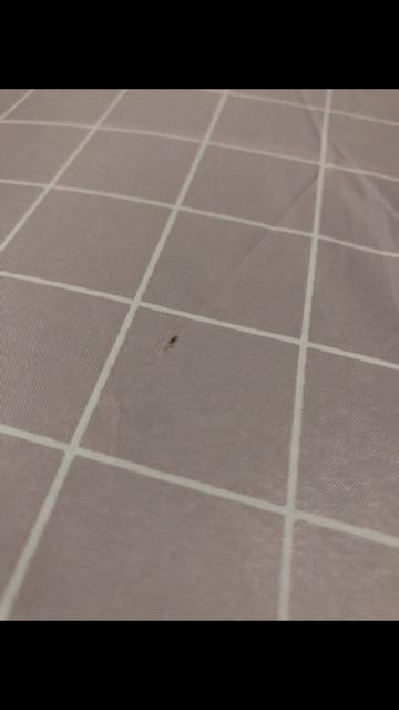 Payung Lipat Motif Kotak P21