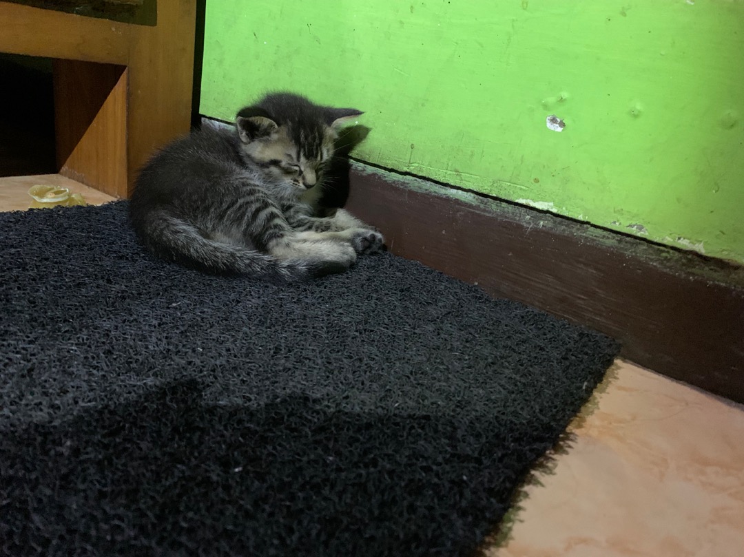 Tabung Karbon Refill Zernii Water Filter