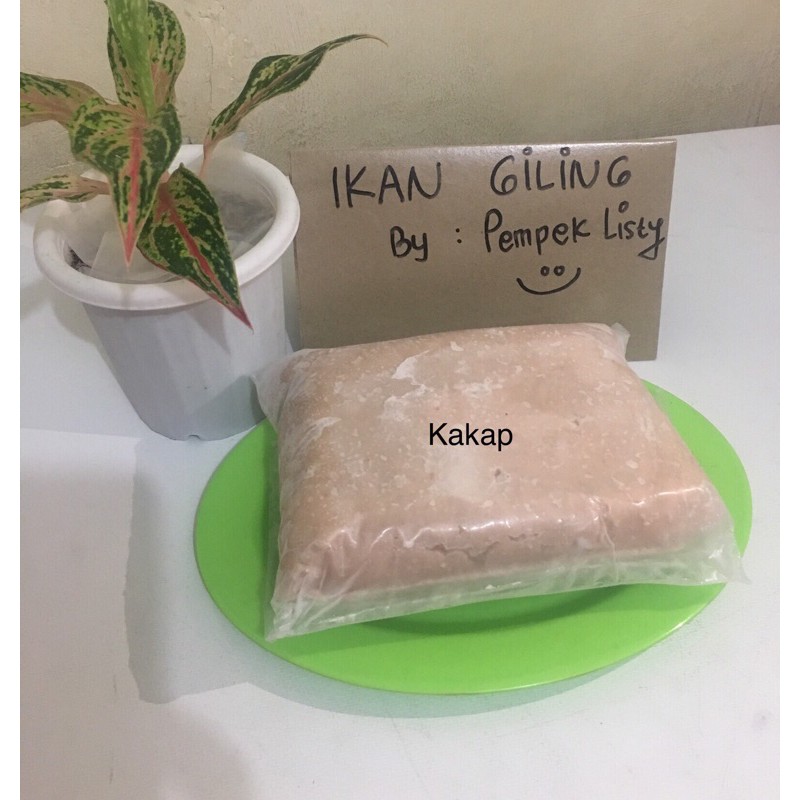 

IKAN KAKAP GILING