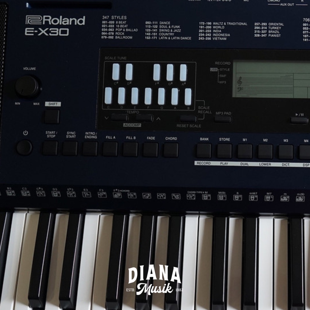 Keyboard Roland E-X30 / EX 30 / EX30 Arranger Keyboard