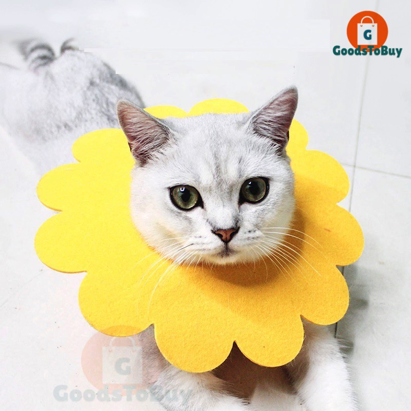 Leher Kucing Corong Anjing Pelindung Luka Anti Jilat Neck Collar Pet Protection Pet Cone