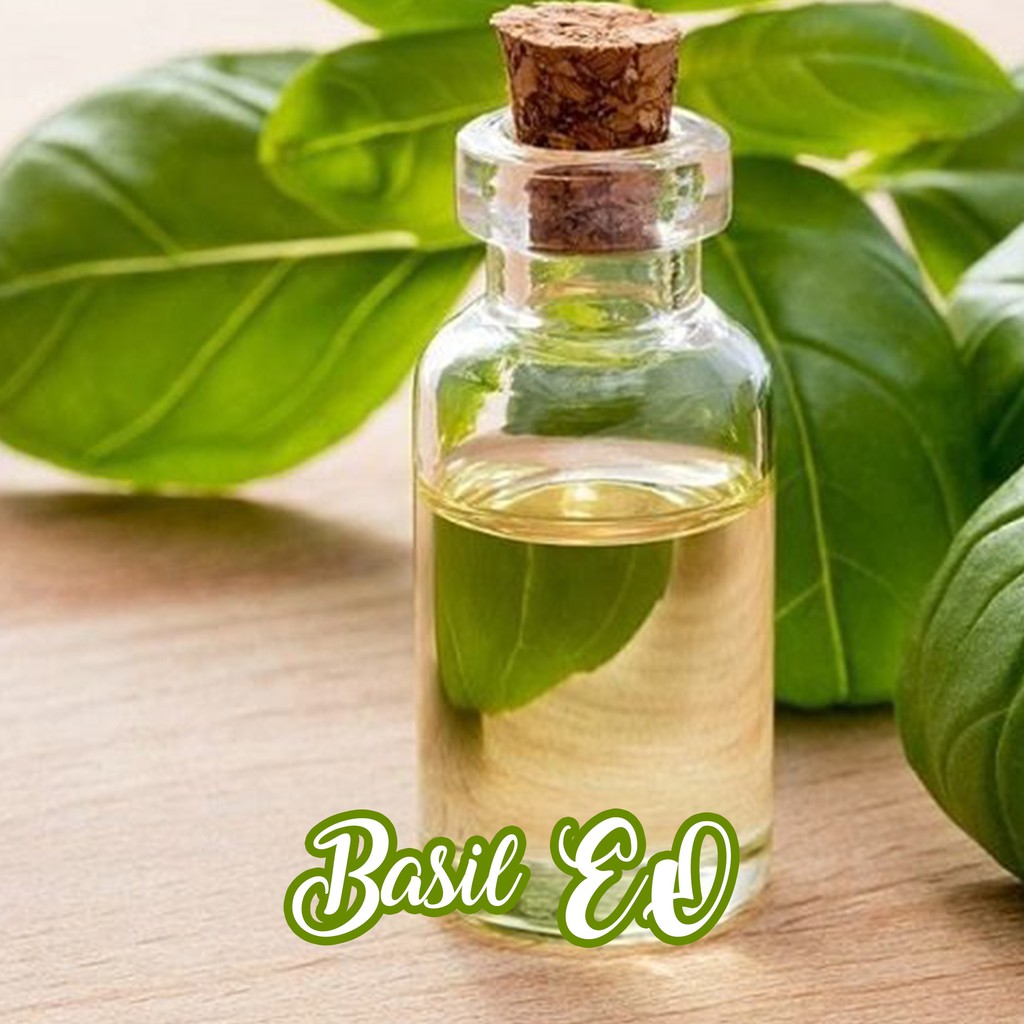 Basil Pure Essential Oil 1L
