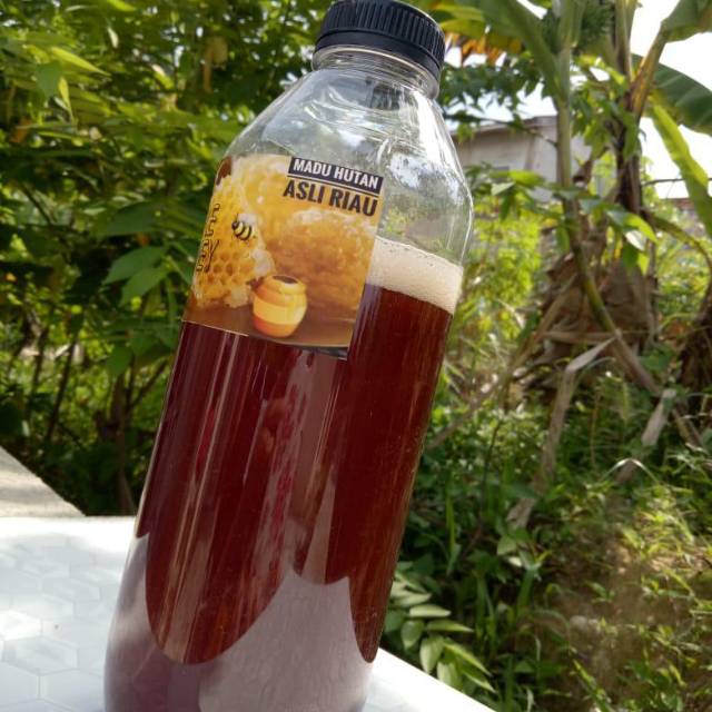 

Evetrijt // Madu Hutan Asli Riau