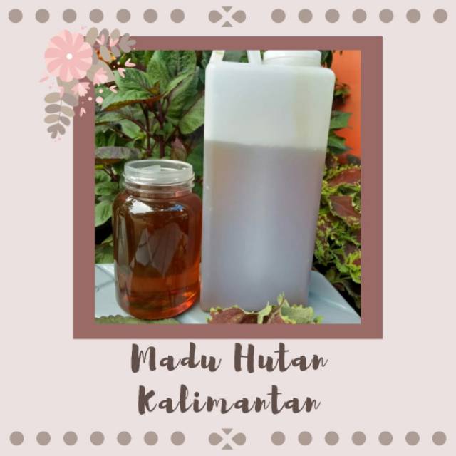 

MADU HUTAN KALIMANTAN (RAW/MENTAH/ORGANIK)