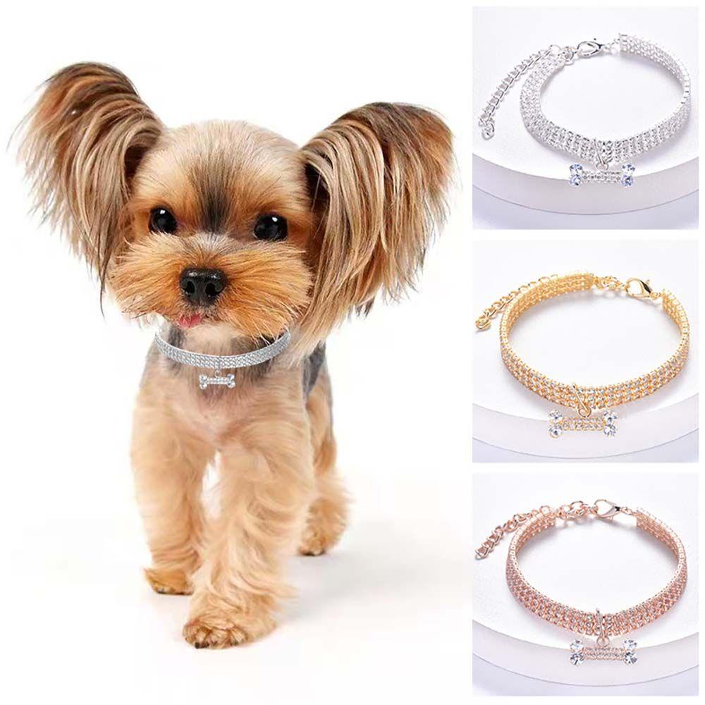 Nickolas1 Pet Kerah High-end Fashion Perhiasan Rantai Anjing Zirkon Tulang Puppy Aksesoris Perlengkapan Hewan Peliharaan