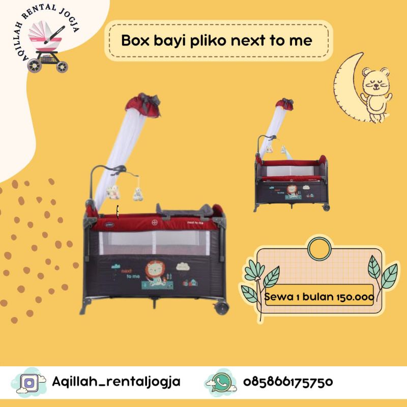 box bayi Pliko sewa Jogja tidak dijual