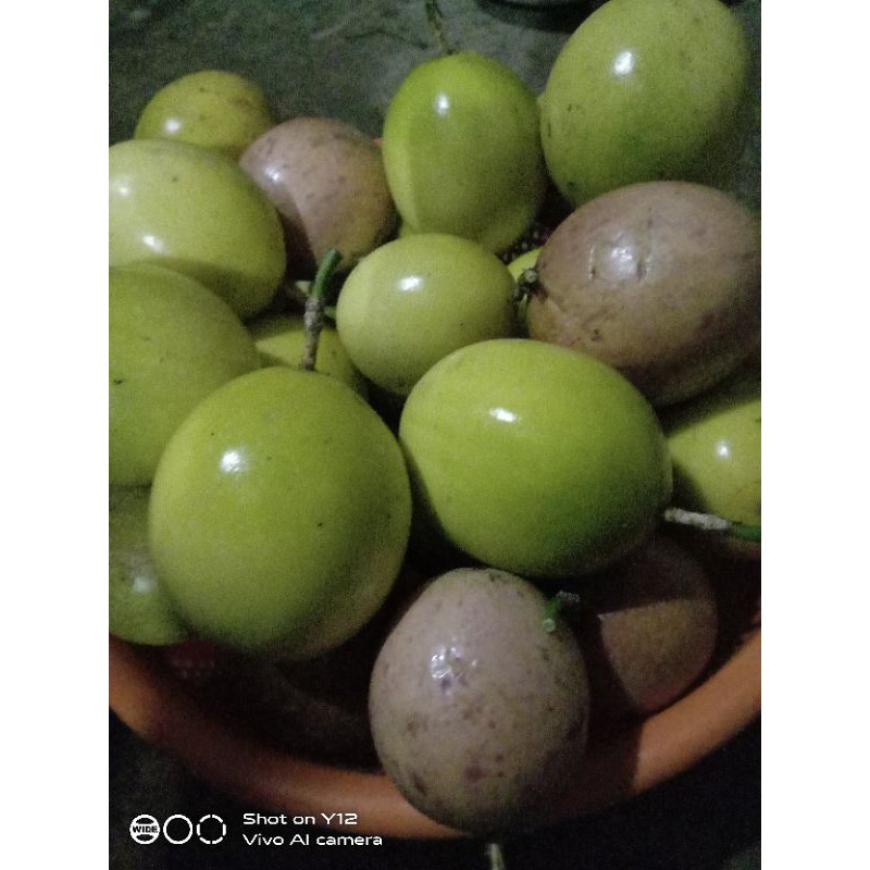 

BUAH MARKISA SEGAR TERMURAH 1 KG