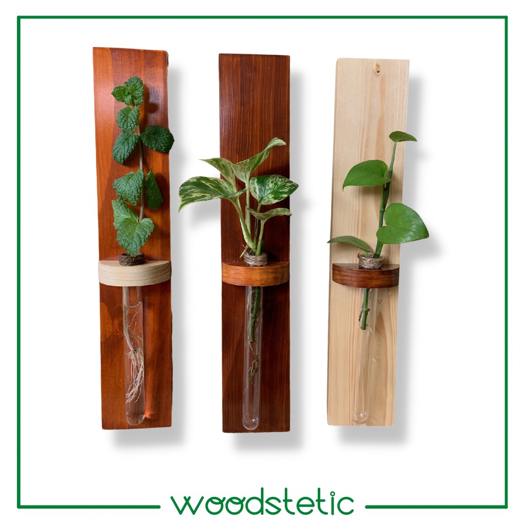 1Set/3pcs Vas Dried Flowers Vase Vas Bunga Tempel Gantung Dinding Rak Pot Tanaman Propagation Pot Va