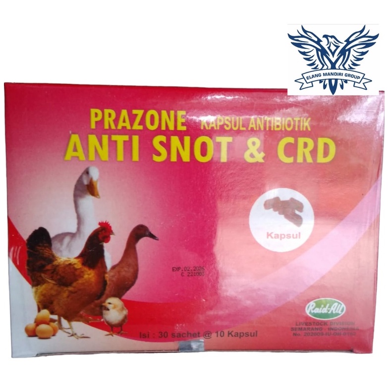 Obat Anti Snot 1 Pcs isi 10 Kapsul CRD Prazone Pilek Ayam, Burung, Bebek dan Unggas Lainnya