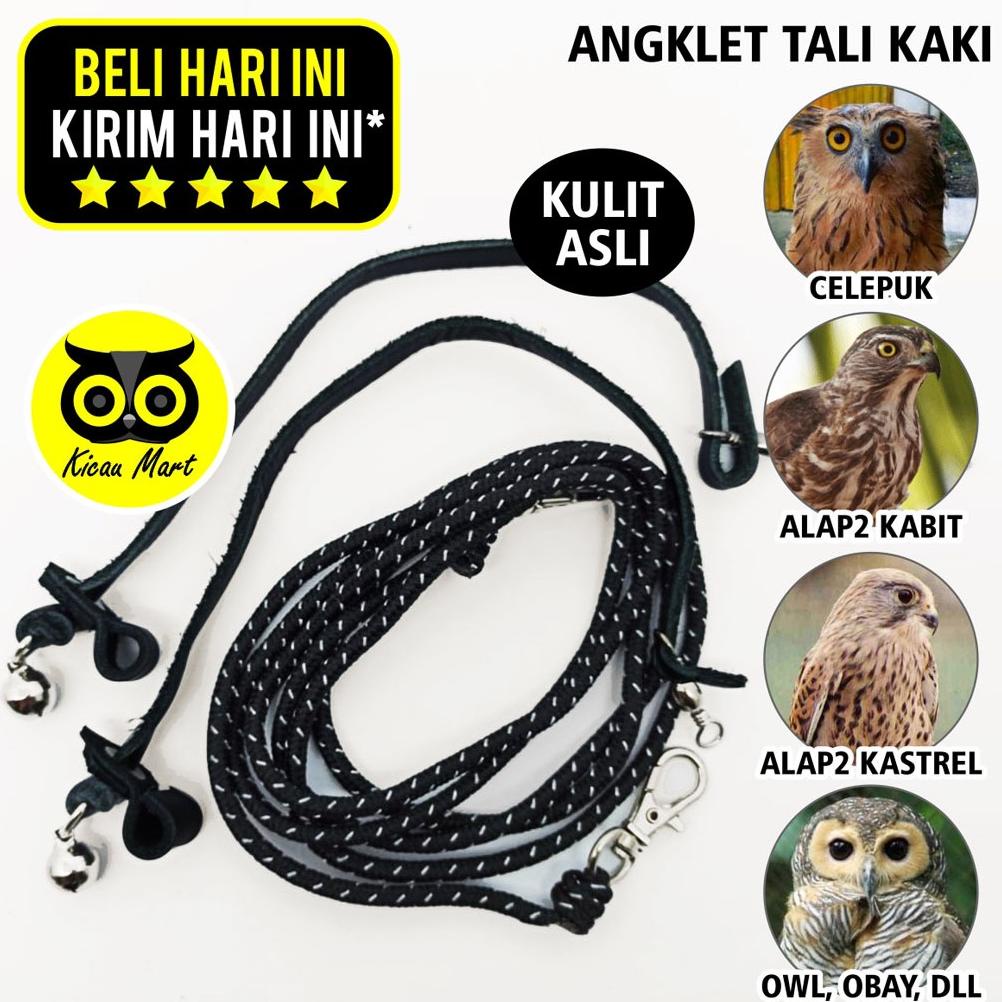 Anklet Celepuk Tali Kaki Burung Hantu Angklet Celepuk Alap Alap Kabit Kastrel Owl Bido Alba Anklet C