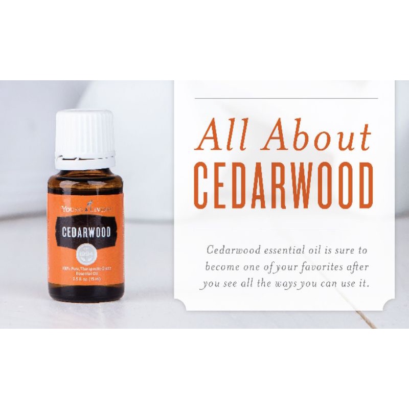 Cedarwood EO YL